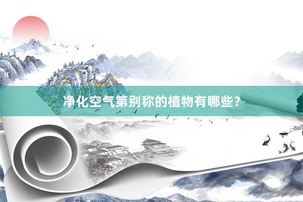 净化空气第别称的植物有哪些？