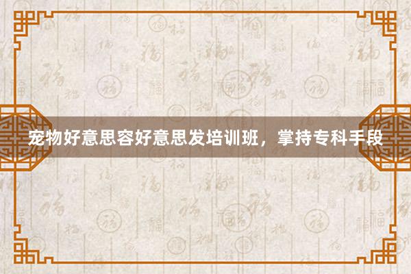 宠物好意思容好意思发培训班，掌持专科手段