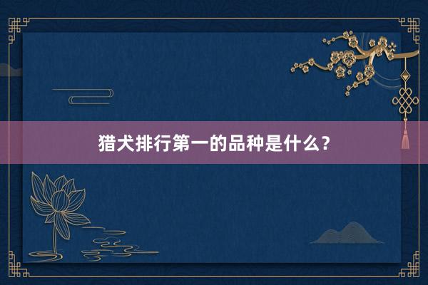 猎犬排行第一的品种是什么？