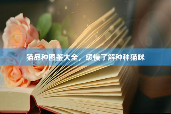猫品种图鉴大全,缓慢了解种种猫咪